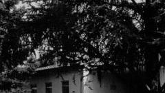 La elementare di Camigliano