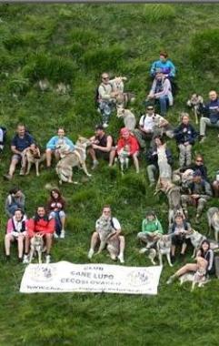 Un raduno nazionale del Club del cane lupo cecoslovacco