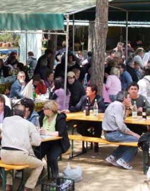Cibo e buona musica questo week end alla pinetina di Riotorto        