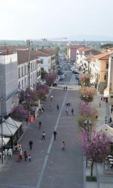 Uno scorcio del centro di Cecina I commercianti cercano nuove strategie per rilanciare questo settore dell’economia