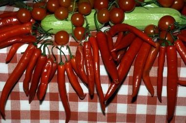 Peperoncini protagonisti di una bella festa in citt&agrave; 