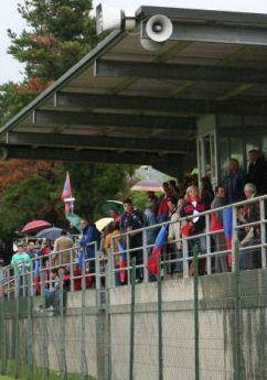 <b>STADIO</b>. Il Malservisi 