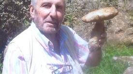 L’avvocato Gianluca Pistoresi morto all’età di 78 anni