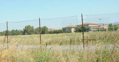 La savana nel campo di calcio 