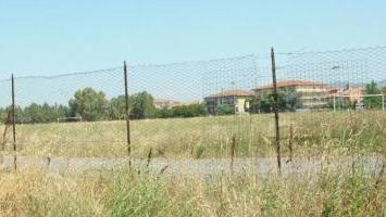 La savana nel campo di calcio
