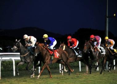 <b>BY NIGHT. </b> Una corsa in notturna al &laquo;Caprilli&raquo;    