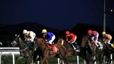 <b>BY NIGHT. </b> Una corsa in notturna al «Caprilli»