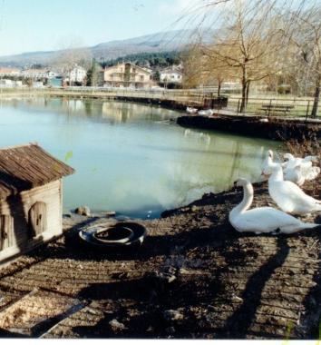 <b>PARCO DEI CIGNI.</b> Ennesima scorribanda 