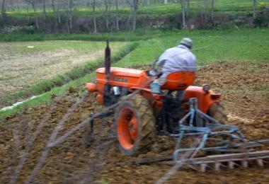 Un agricoltore al lavoro nei campi   