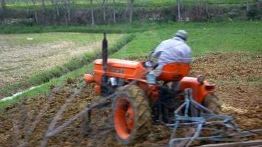 Un agricoltore al lavoro nei campi