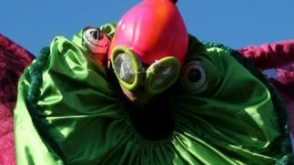 <b>CIRCO.</b> Stasera alla Cava