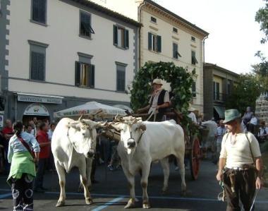 Una manifestazione in piazza