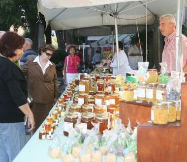 Un espositore nella passata edizione di Territori in festival 