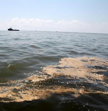 Una chiazza di petrolio in mare 
