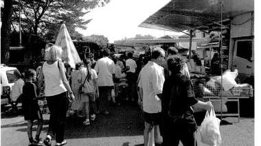 Il mercato domenicale di Marina, traffico in via IV Novembre e, sotto, l’assessore Giamila Carli