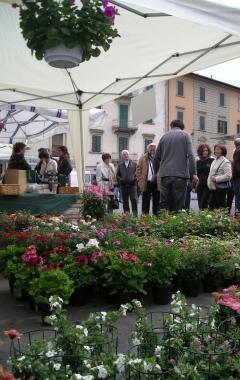 Un mercato nel centro di Fucecchio  