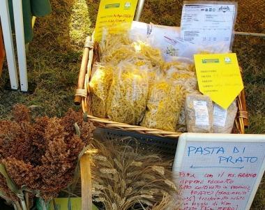 Il frumento e la pasta di Prato 