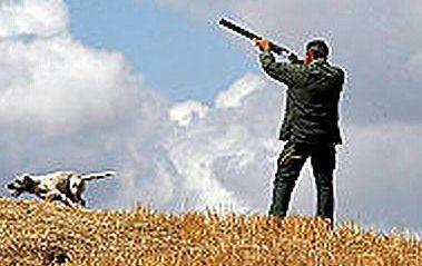 Un cacciatore in azione in una riserva 