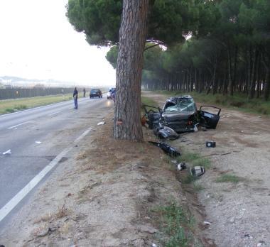 I pini che costeggiano l’Aurelia dove ha trovato la morte il ragazzo L’Aci chiede che vengano abbattuti o delimitati