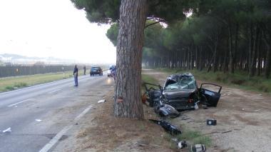 I pini che costeggiano l’Aurelia dove ha trovato la morte il ragazzo L’Aci chiede che vengano abbattuti o delimitati