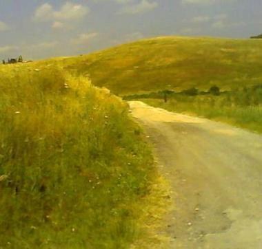 <b>BUCHE E DOSSI.</b> Sullanello della Dogana problemi di circolazione per le troppe buche e i dossi che ci sono su quelle strade. 