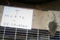 <b>IL FUNERALE.</b> Al topolino morto da 15 giorni 