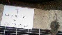 <b>IL FUNERALE.</b> Al topolino morto da 15 giorni