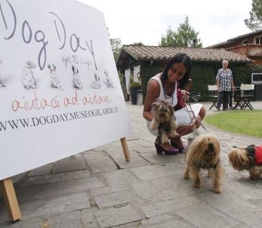 <b>A QUATTRO ZAMPE.</b> Il Dog day 