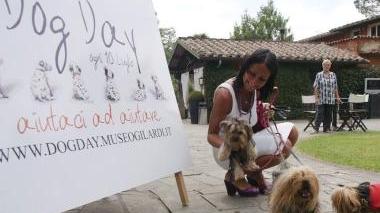 <b>A QUATTRO ZAMPE.</b> Il Dog day
