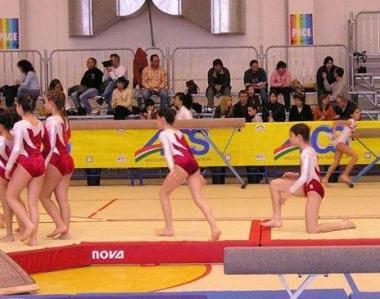 <b>GINNASTICA</b> Una gara dellAics       