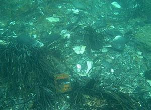 Accordo per evitare un Padule senz'acqua