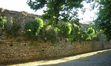 In alto la frana sui bastioni leonardeschi; a fianco le mura come ancora si presentano dopo il taglio delle erbacce fatto solo in questi giorni sul marciapiede       