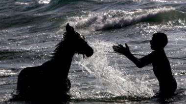 Fa fare il bagno al cavallo in mare: multato per 1033 euro.