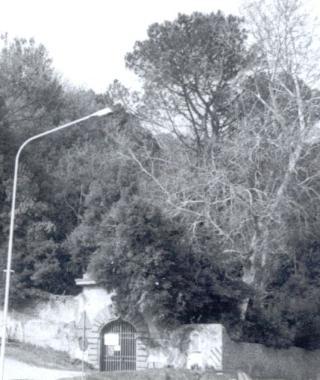 Lingresso del parco del Bargo 