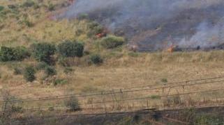 <b>BRUCIA TALAMONACCIO.</b> Nella zona collinare di Albinia ieri si è scatenato un inferno di fuoco. Sono arrivati anche due canadair da Roma per domare le fiamme che lambivano le case