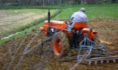 Le aziende agricole passate ai raggi X Via al censimento