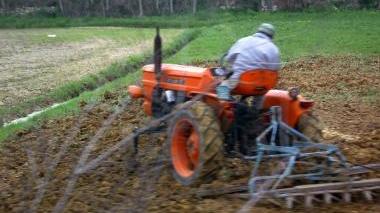 Le aziende agricole passate ai raggi X Via al censimento