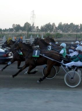 <b>PINI.</b> Una corsa 
