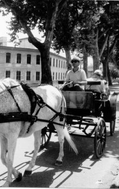 Una carrozza trainata dal cavallo (Vip) 