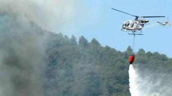 Un incendio di bosco