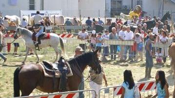 La fiera del bestiame nel Settembre quarratino