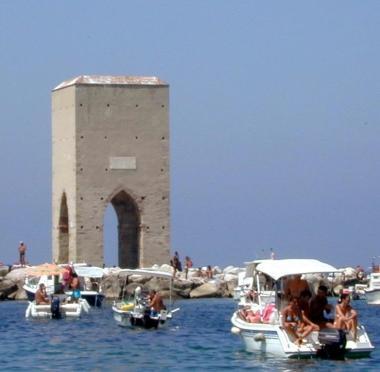 Due ricci di mare e, nella foto in alto, barche di diportisti attorno alla Meloria 