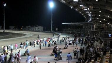 <b>IPPODROMO.</b> Le foresterie