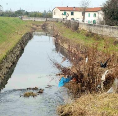 Un tratto di argine del torrente Stella    