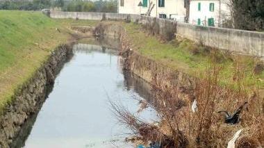 Un tratto di argine del torrente Stella