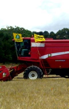 Un campo confiscato alla mafia 