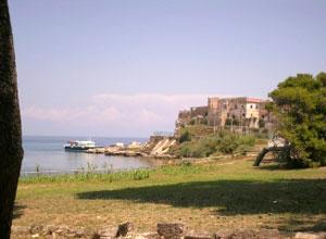 Centrale a biomasse per Pianosa