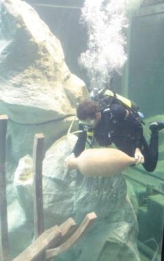 L'inaugurazione dell'Acquario protagonista della Notte Bianca