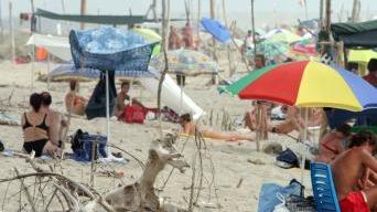 Sulla spiaggia alla Lecciona