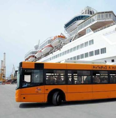 Bus con turisti scesi dalla nave 